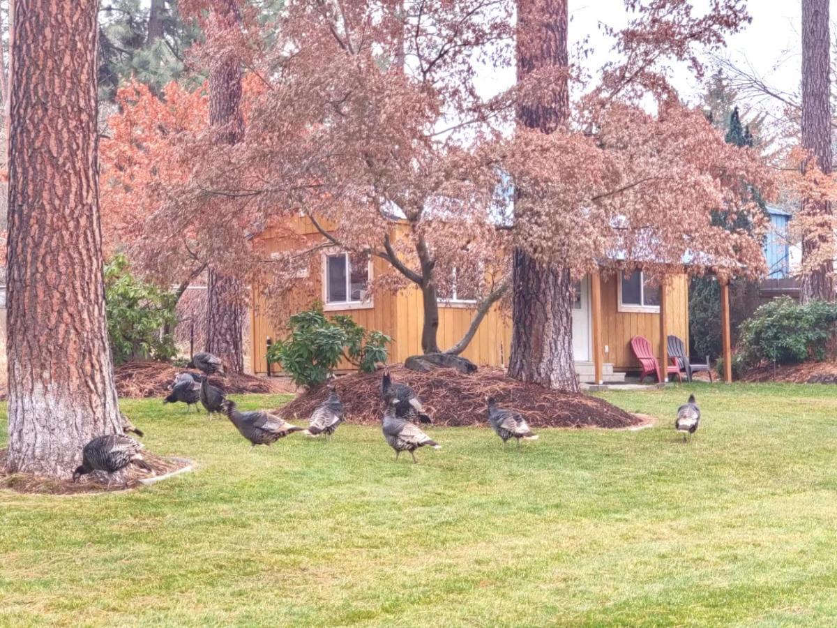 The Base Camp Vila Spokane Exterior foto